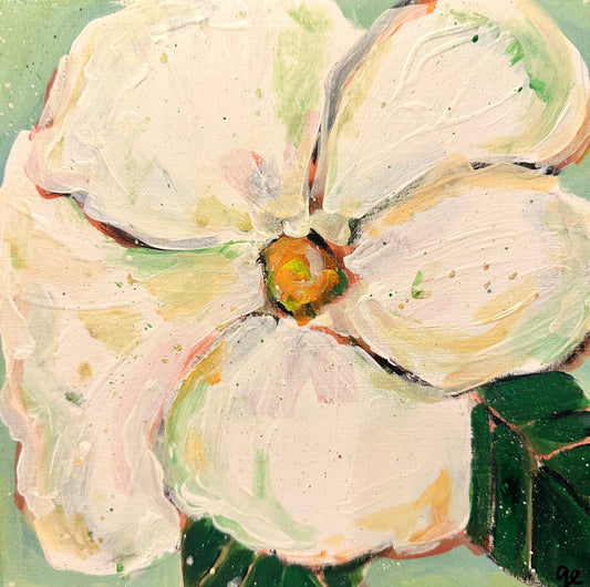 Magnolia